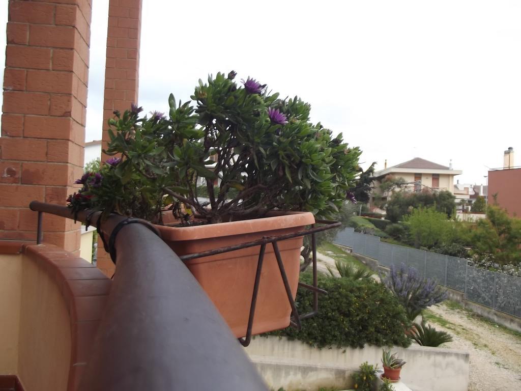 Bed and Breakfast La Specchia Matera Zewnętrze zdjęcie